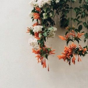 Meet your Posher, Brownnin000